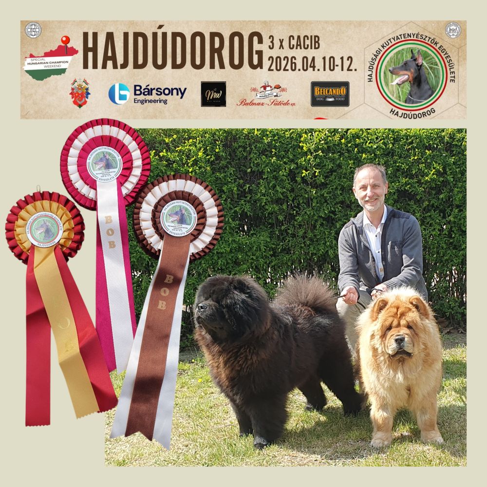 picsart 22 06 13 16 15 15 244